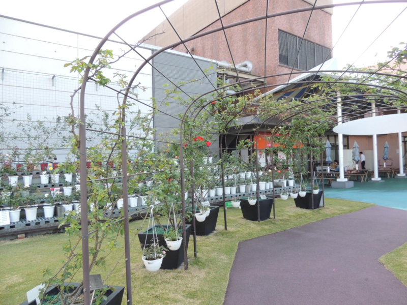 f:id:rotling:20121015153211j:image