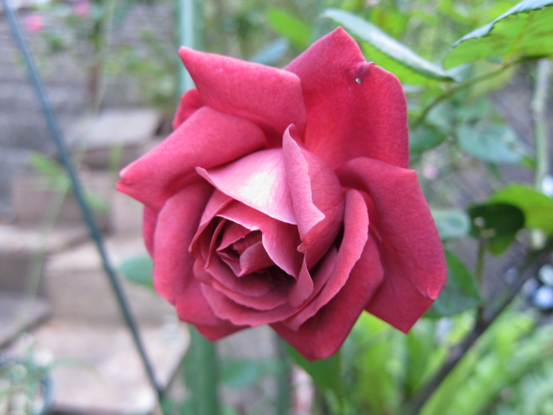 f:id:rotling:20121103163241j:image
