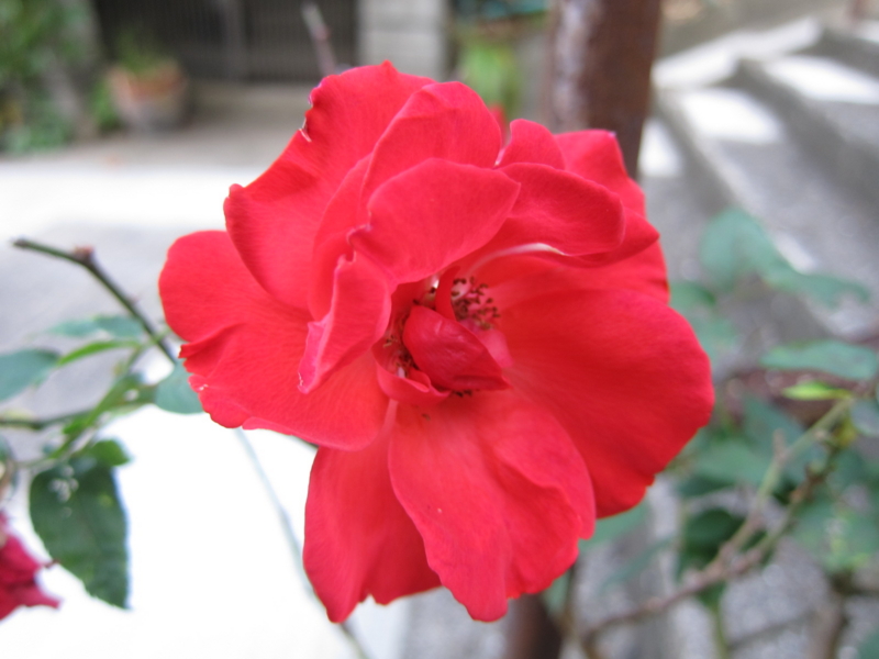 f:id:rotling:20121103163255j:image