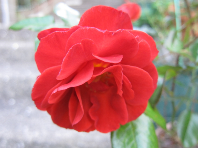 f:id:rotling:20121103163331j:image