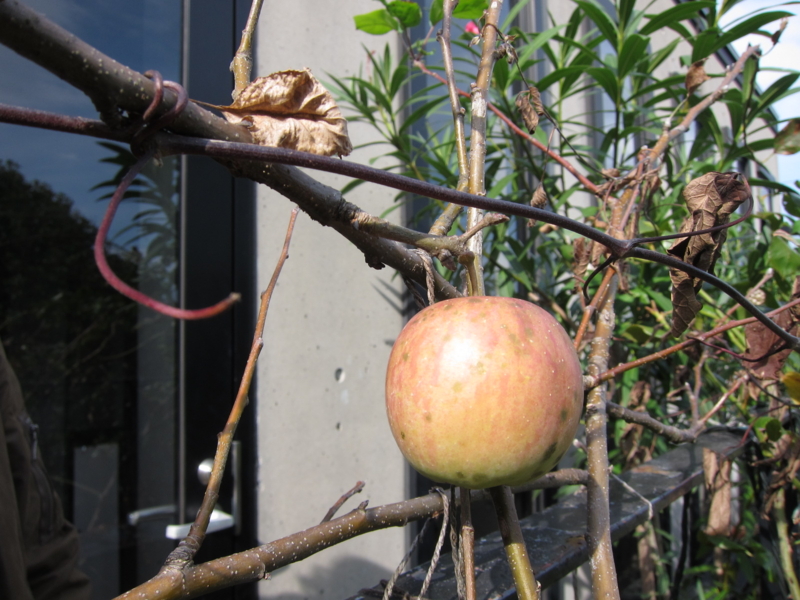 f:id:rotling:20121104101601j:image