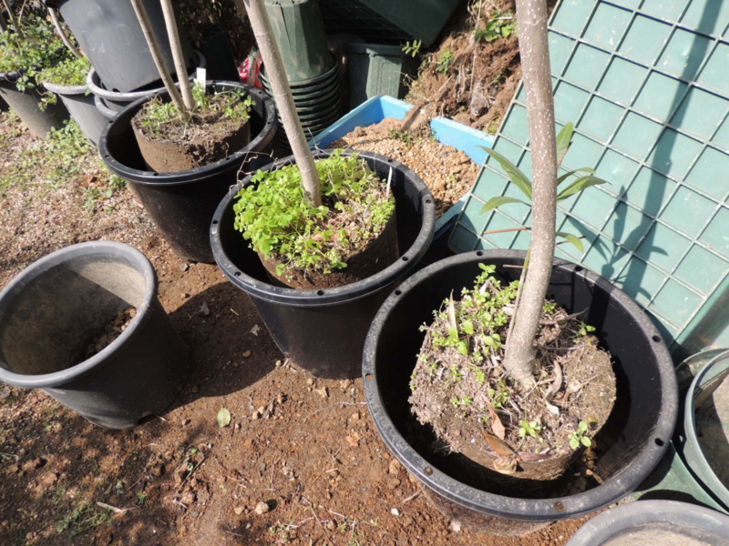 f:id:rotling:20130227123542j:image