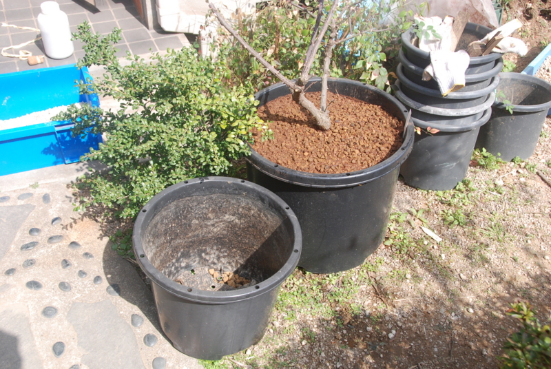 f:id:rotling:20130309113229j:image