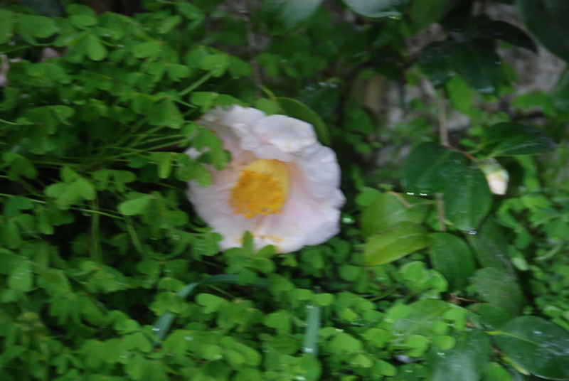 f:id:rotling:20130317165637j:image
