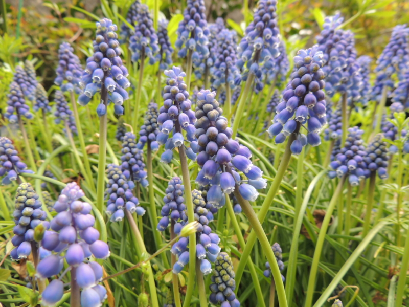 f:id:rotling:20130324134735j:image