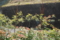 20130401112254