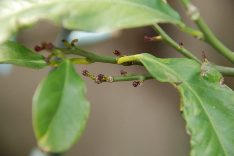 f:id:rotling:20130411113841j:image