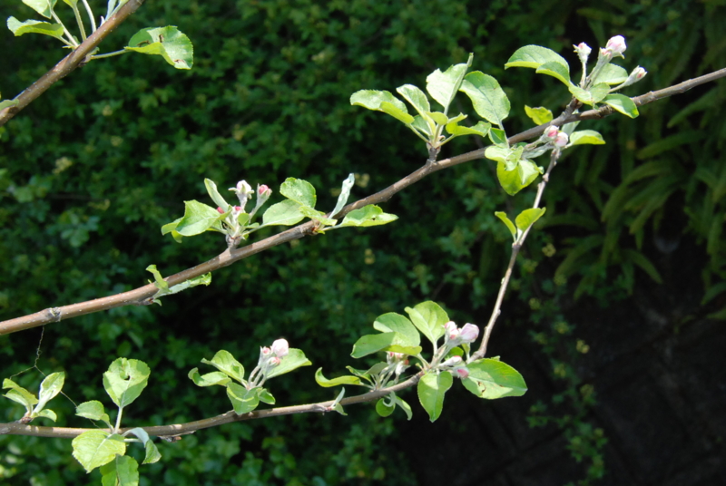 f:id:rotling:20130413122908j:image