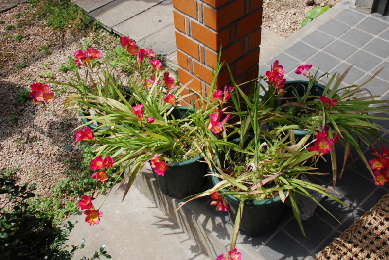 f:id:rotling:20130416134734j:image