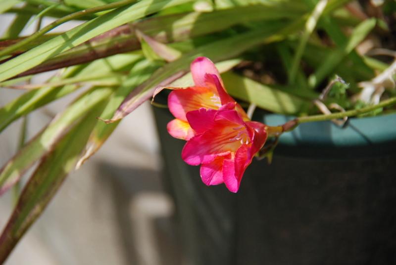 f:id:rotling:20130416134739j:image