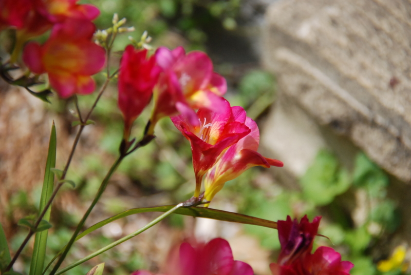 f:id:rotling:20130416134745j:image