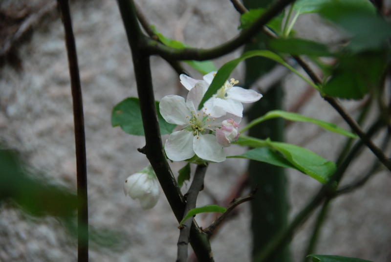 f:id:rotling:20130416135614j:image