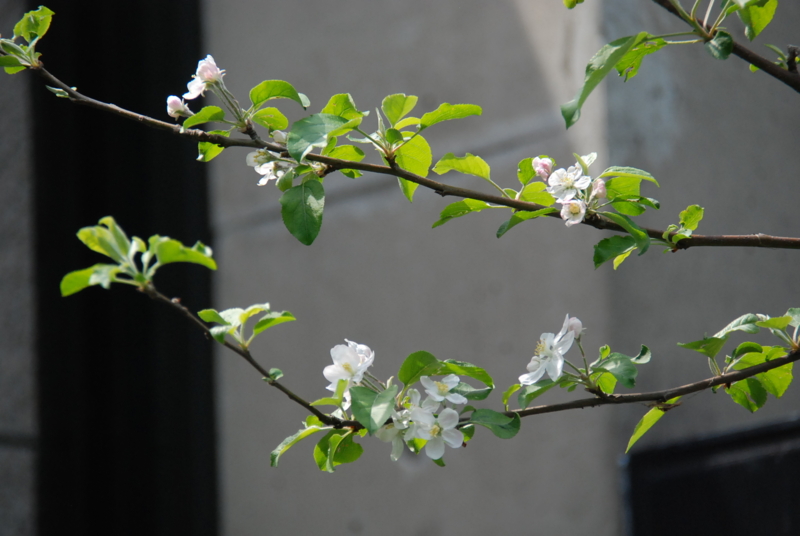 f:id:rotling:20130416135637j:image