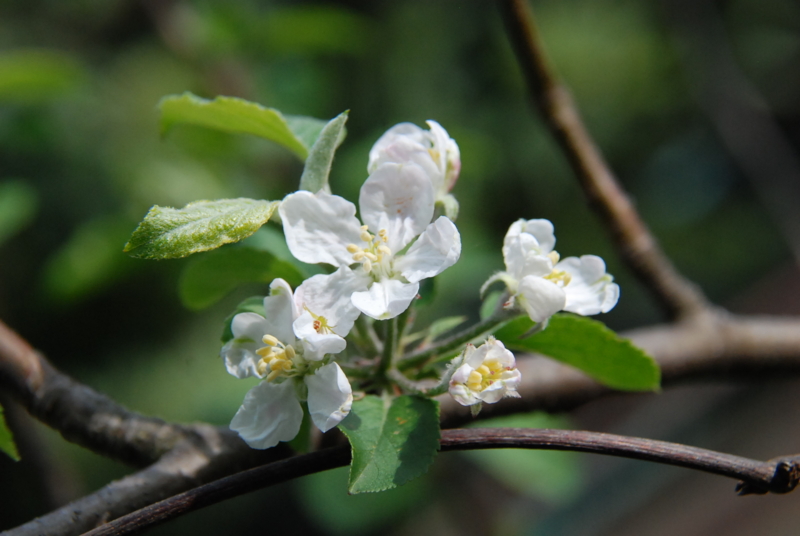 f:id:rotling:20130416135904j:image