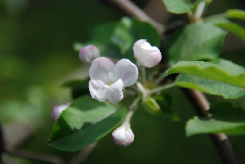 f:id:rotling:20130416135909j:image