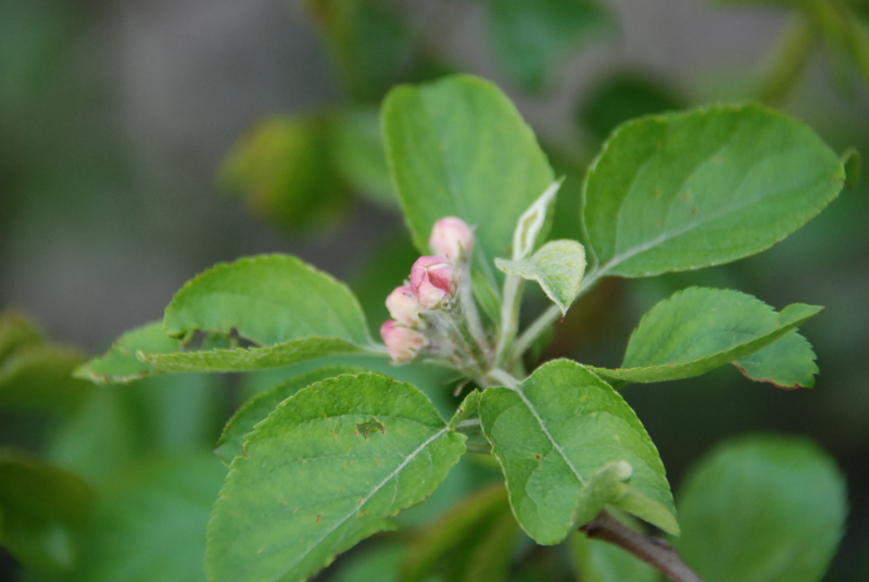 f:id:rotling:20130416164744j:image