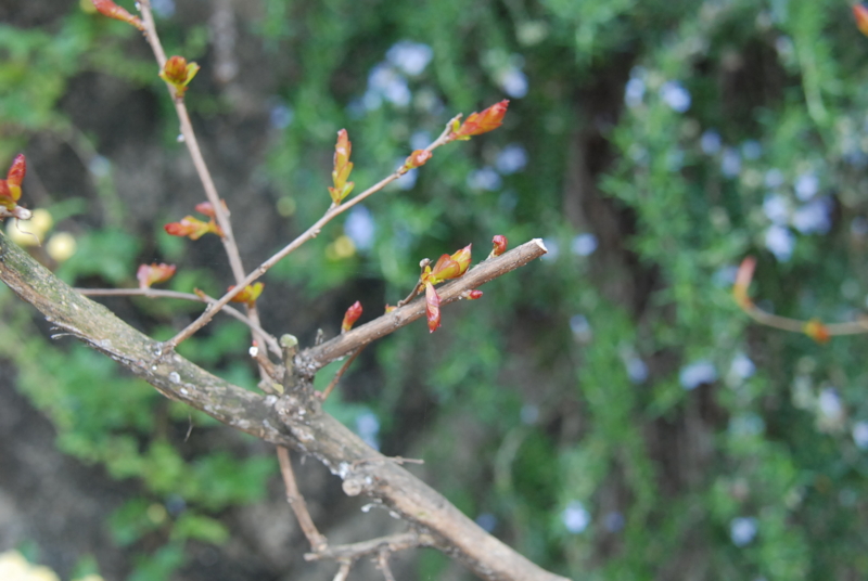 f:id:rotling:20130419115320j:image