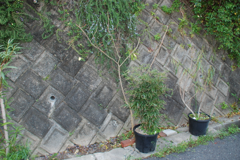 f:id:rotling:20130419115332j:image