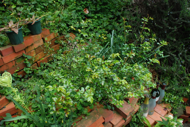 f:id:rotling:20130423145414j:image