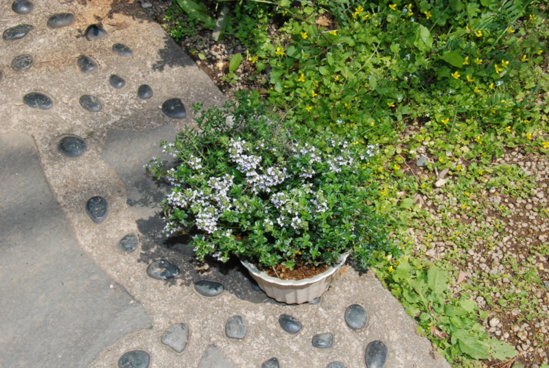 f:id:rotling:20130425112017j:image
