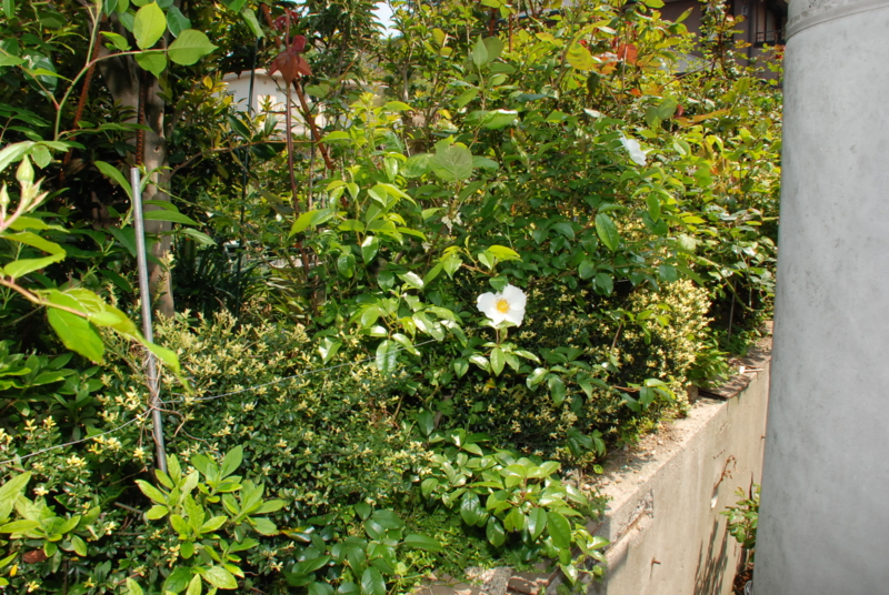 f:id:rotling:20130425112422j:image