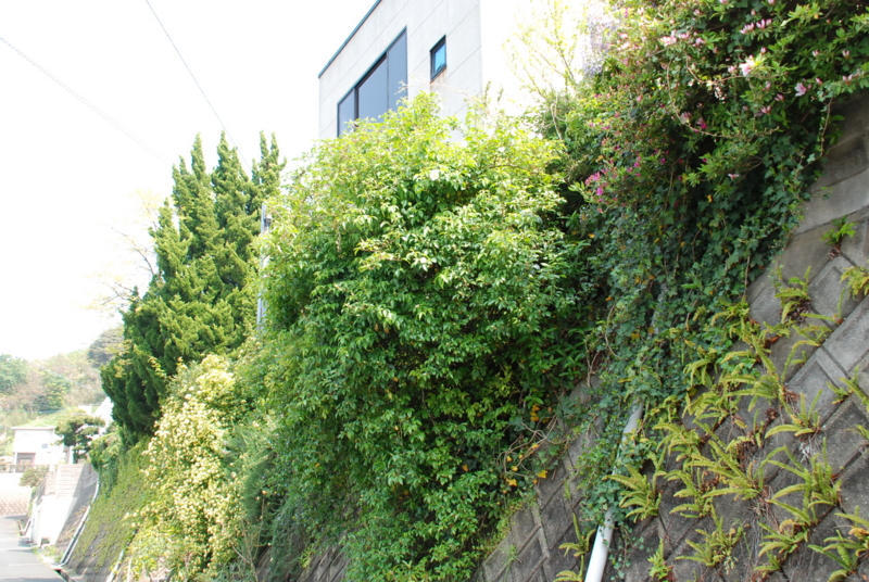 f:id:rotling:20130425141238j:image