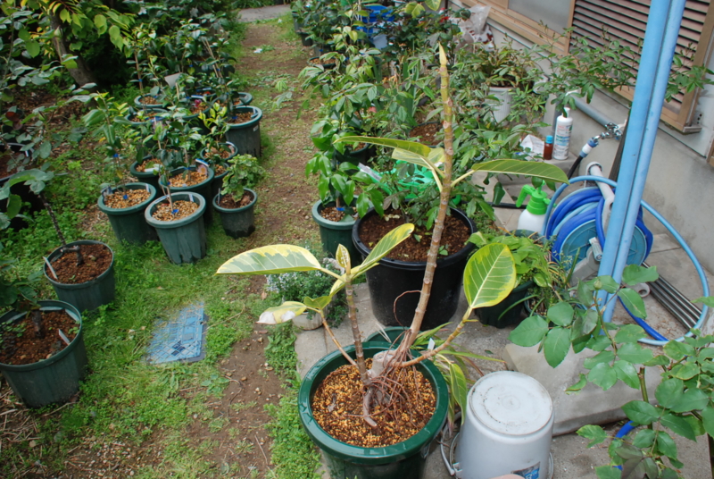 f:id:rotling:20130430141525j:image