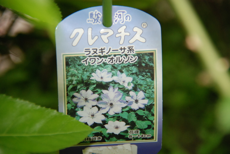 f:id:rotling:20130430161251j:image