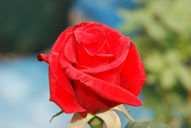 f:id:rotling:20130503101205j:image