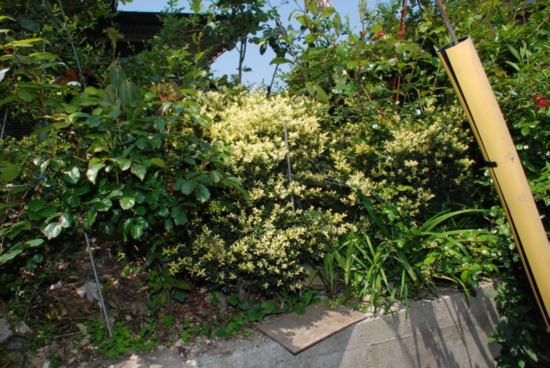 f:id:rotling:20130505133904j:image