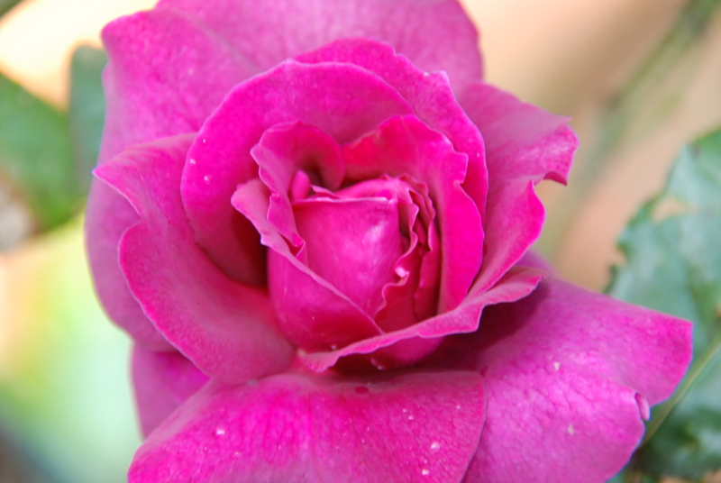 f:id:rotling:20130512102029j:image