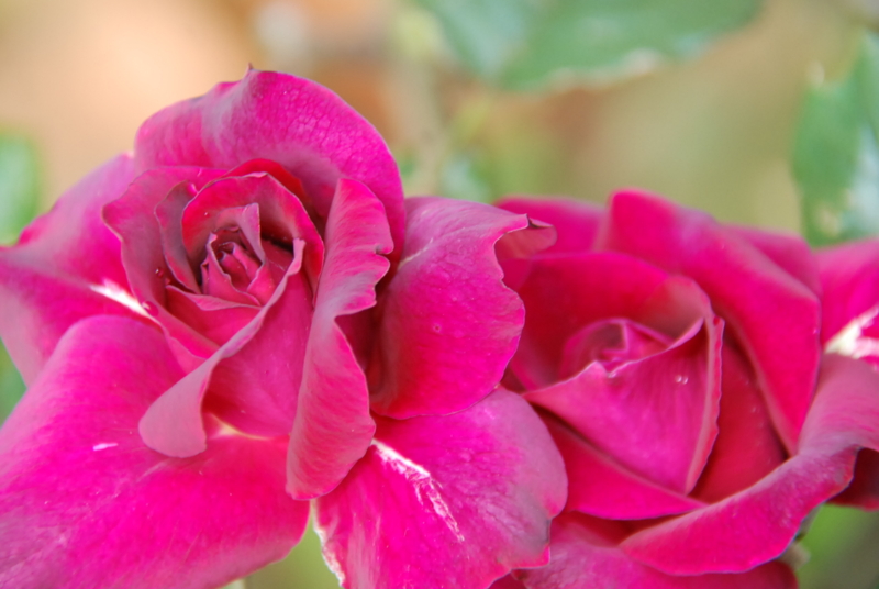 f:id:rotling:20130512102033j:image