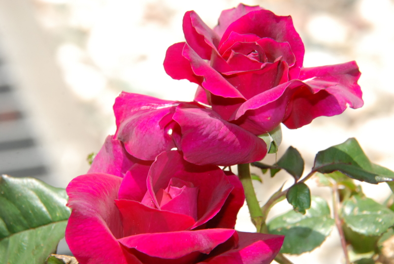 f:id:rotling:20130512111949j:image