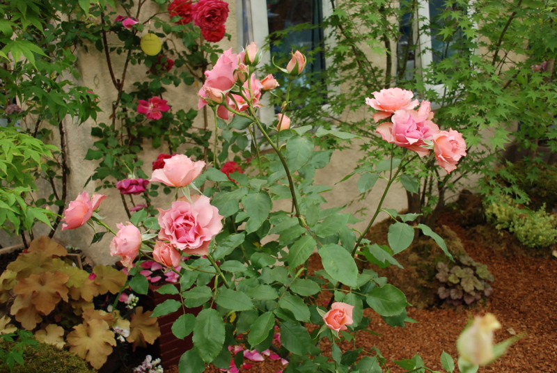 f:id:rotling:20130515113106j:image