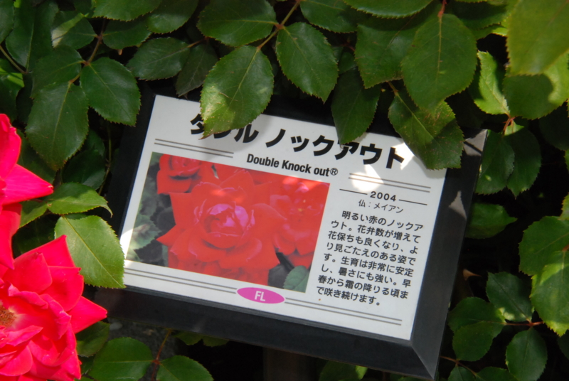 f:id:rotling:20130516090430j:image