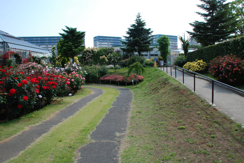 f:id:rotling:20130516090839j:image