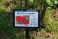 20130516092006