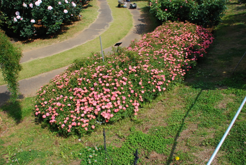 f:id:rotling:20130516094802j:image
