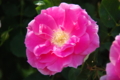 20130516095332