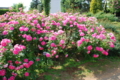 20130516095351