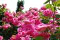 20130516095407