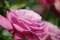 20130516095532
