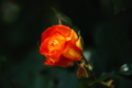 20130516095610
