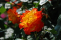 20130516095615