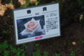 20130516095656