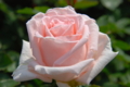 20130516095713