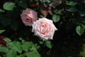 20130516095724