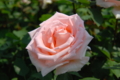 20130516095728