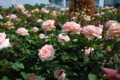 20130516095730