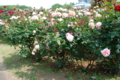 20130516095739